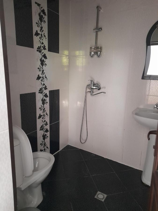 Guesthouse Borjomi Bagian luar foto