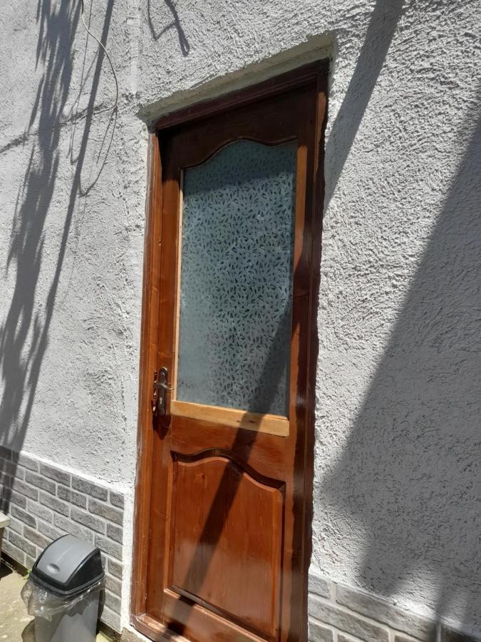 Guesthouse Borjomi Bagian luar foto